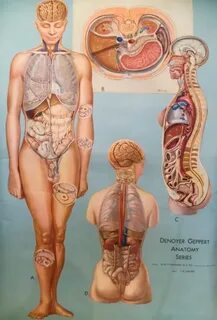 Будь в форме! - Список материалов - Медиаплатформа МирТесен