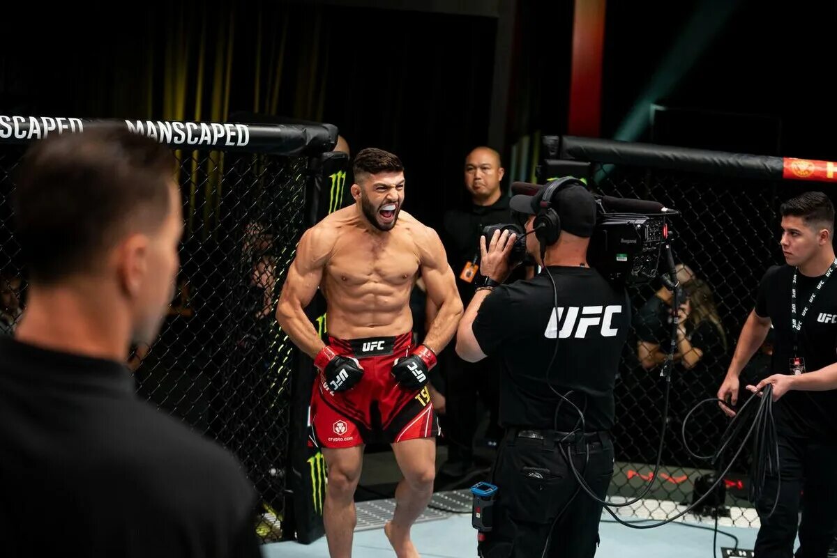 Царукян боец юфс. Арман ufs царукян ufc. Царукян арман гамрот матеуш бой. Матеуш гамрот. Арман царукян юфс 4.