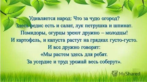 Огород на окне стихи