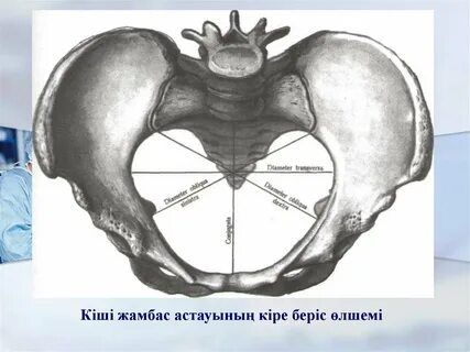 Порнографиялық қыздарды көрсету