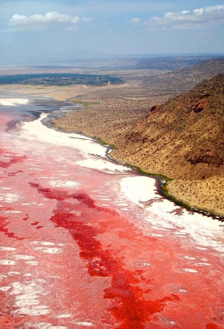 Озеро Натрон. Натрон Танзания. Озеро Натрон (Lake Natron), Танзания. Красное озеро в Танзании. Есть красное озеро