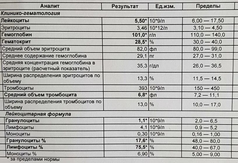 Тромбоциты понижены у взрослого мужчины причины. Норма эритроцитов, лейкоцитов, гемоглобина. Исследование уровня эритроцитов в крови норма. Показатели общего анализа крови у человека норма. Норма тромбоциты лейкоциты гемоглобин.