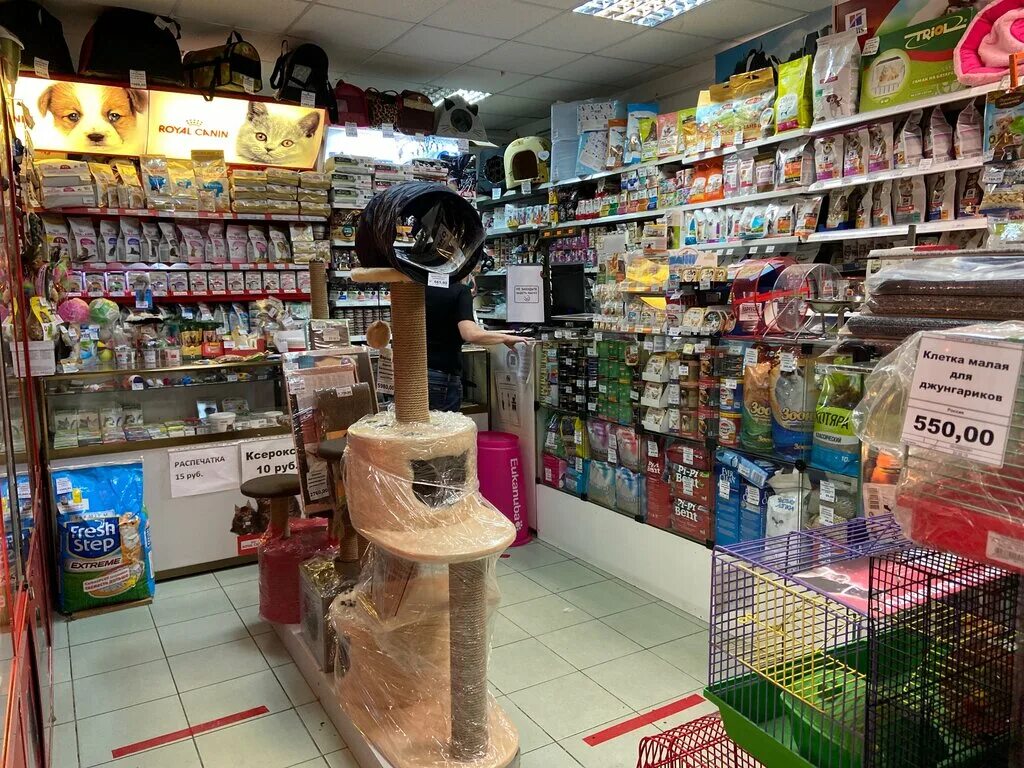зоопторг спб. зоомагазин с животными спб. зоомаркет сова. зоомагазин филин. зоомагазин филя просвещения 33.