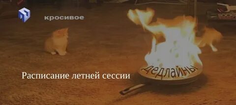 Сессия песня