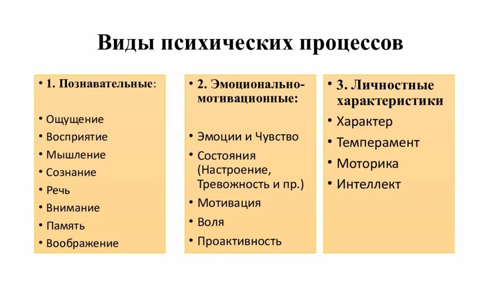 Ощущение восприятие мышление воображение