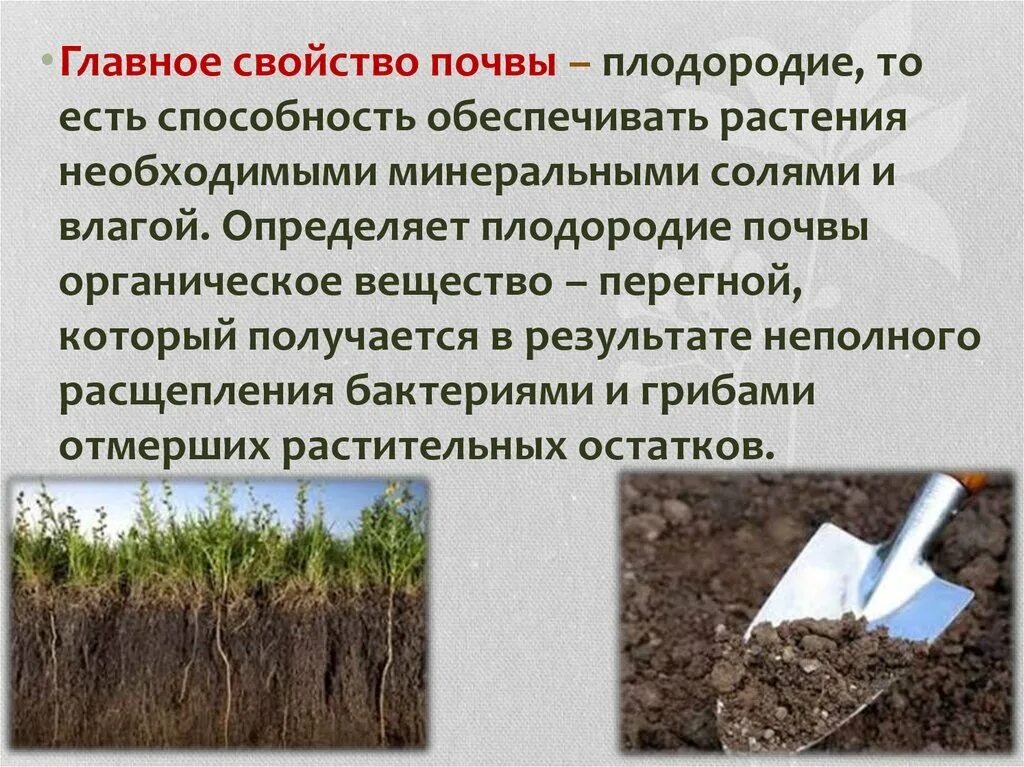 Основное качества почевы. Почва плодородие почвы. Свойства почвы. Основное свойство почвы плодородие. Плодородие это свойство почвы которое