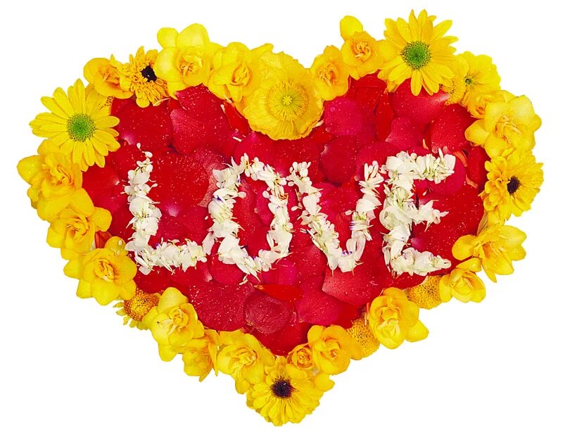 Сердечко из цветов. Сердечко из цветов. Сердечко из цветов. Сердечки цветочки. Сердечко из роз.