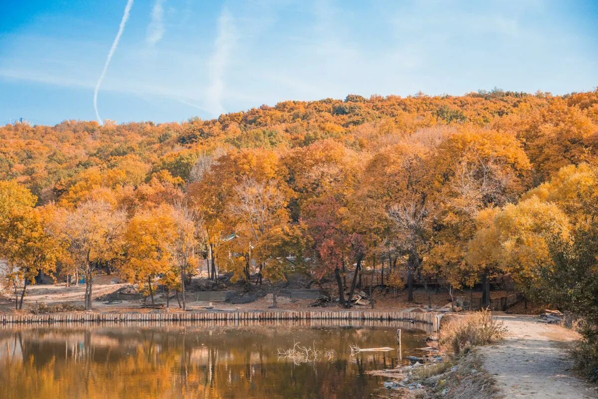 Санаторий ударник саратов. Парк ударник саратов заводской район. Озеро ударник саратов. Парк ударник. Пруд ударник саратов.