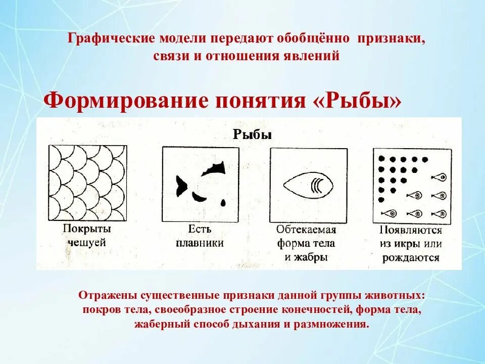 Графическая модель рыбы для дошкольников. Графические модели термин. Графические модели в детском саду. Графическая модель схема. Существенные признаки модели