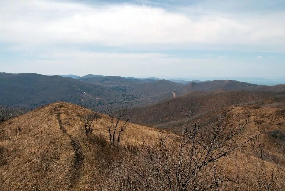 кумардак гора белорецк. хребты богатая. богатая грива владивосток. хребты богатая. тропа арсеньева приморский край.