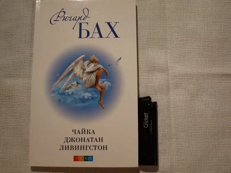 Чайка Джонатан Ливингстон. Чайка по имени Джонатан Ливингстон книга. Чайка Ливингстон читать. Чайка по имени Джонатан Ливингстоун.