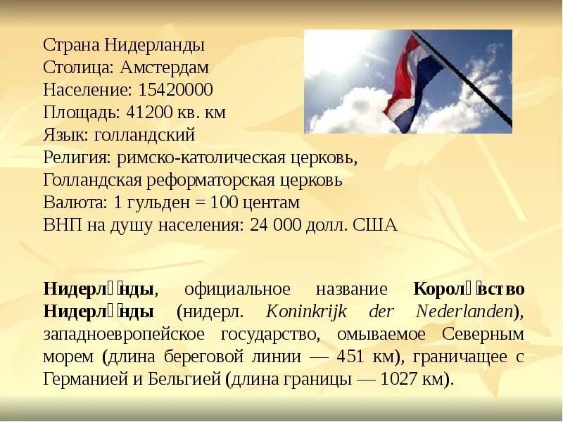 Нидерланды о стране 3 класс. Нидерланды презентация. Важные сведения о Нидерландах. Презентация на тему Нидерланды. Рассказ о Нидерландах.