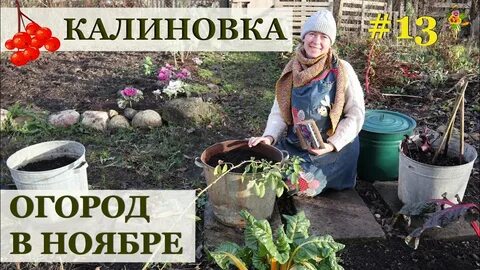 Работы в огороде в ноябре