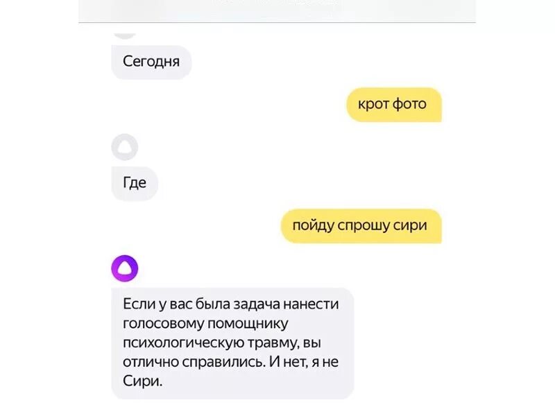 Алиса с матом установить. Голосовой помощник алиса приколы. смешные переписки с алисой голосовым помощником. голосовые помощники приколы. смешные ответы яндекс алисы.