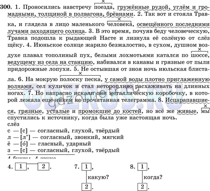 Проносились навстречу поезда гружённые Рудой. Русский язык 8 класс ладыженская номер 300. Упражнение 300 по русскому языку 8 класс.