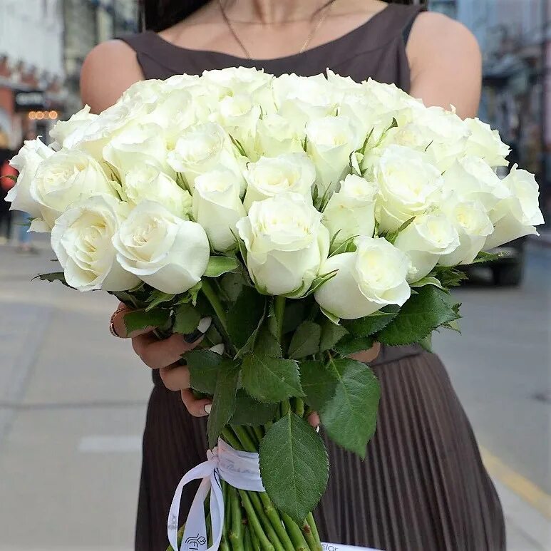 Купить розы во владимире. Букет из 51 розы Мондиаль. Эквадорские белые розы. Белые розы Эквадор букет.