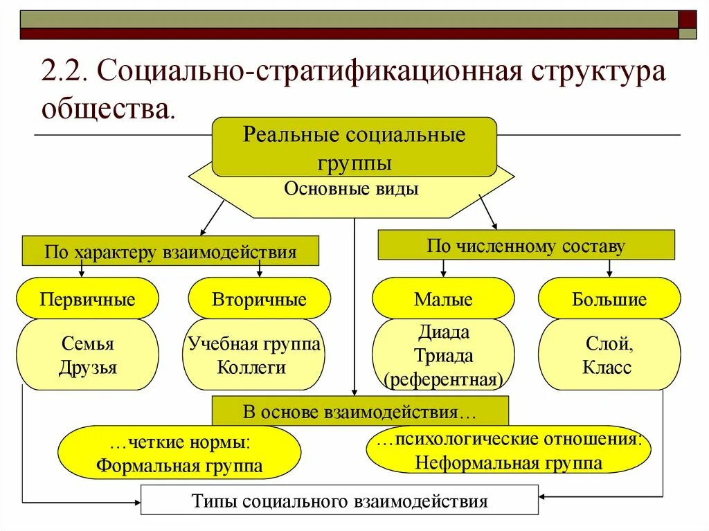 Социальная структура общества схема. Типы социальной структуры общества. Слои социальной структуры общества. Элементы социальной структуры общества схема. К компонентам социальной структуры общества относятся