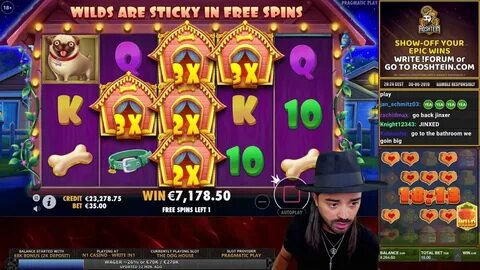 Slot dog house 1win на реальные деньги