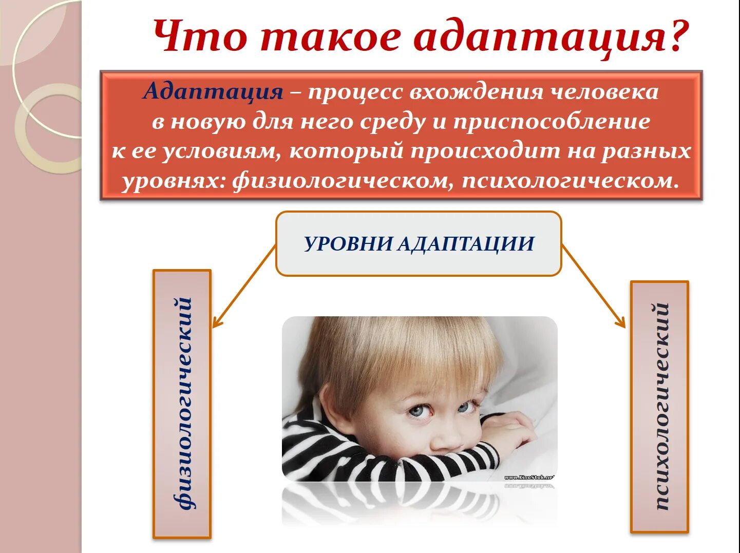 Адаптация русских детей. Адаптация. Адаптация в психологии картинки. Адаптированность. Адаптация определение.
