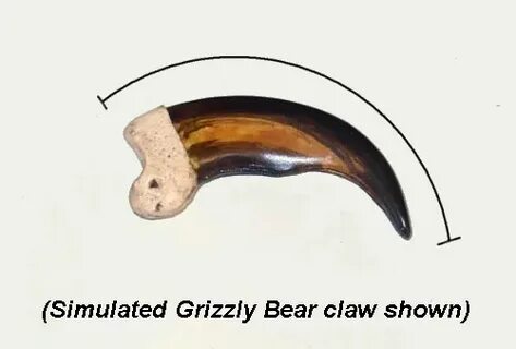 Sharp claws