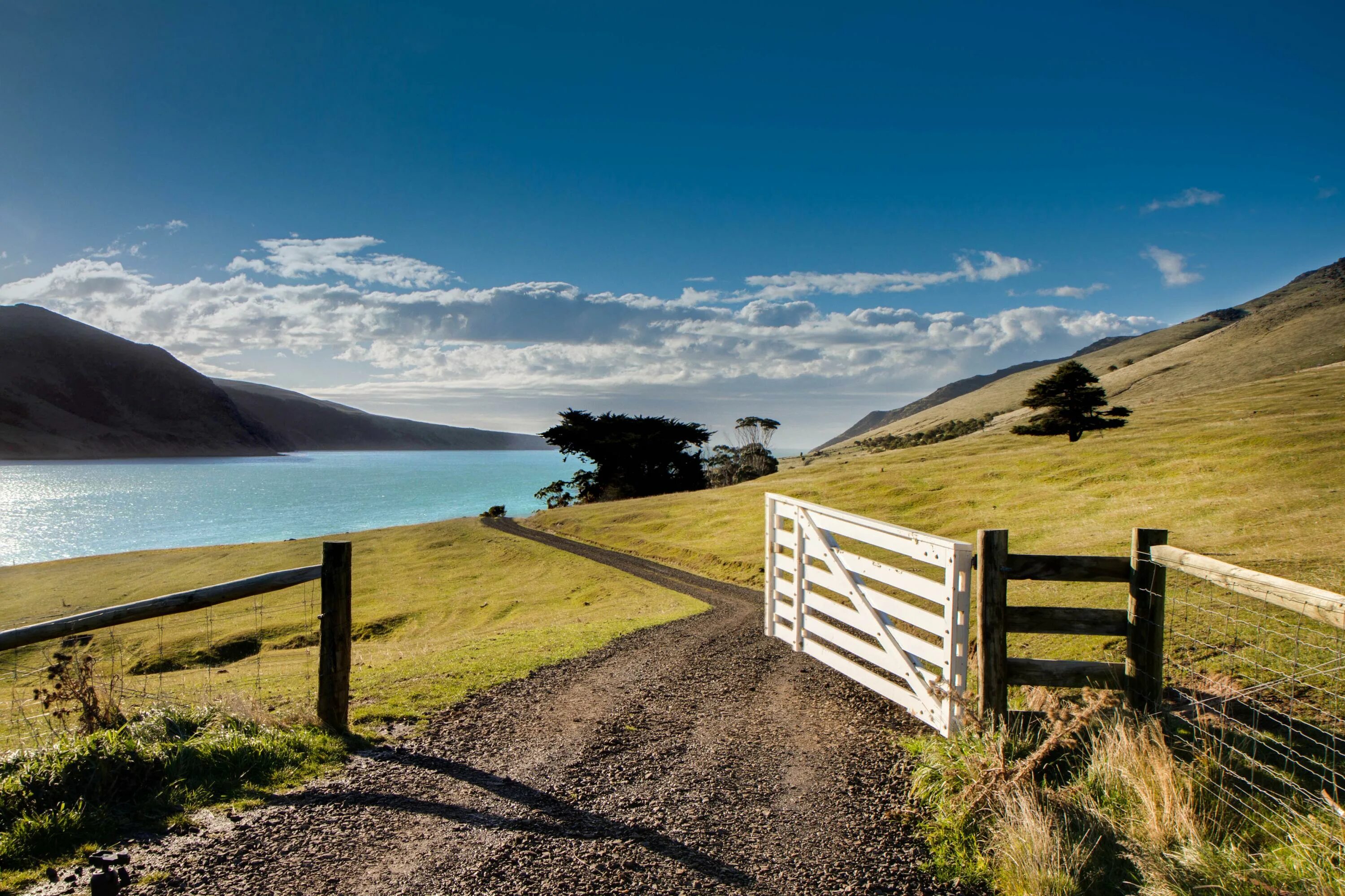 Who new zealand. Новозеландия. Новая Зеландия Эстетика. Ночая зпрлпндия. Холмы Такака, новая Зеландия.