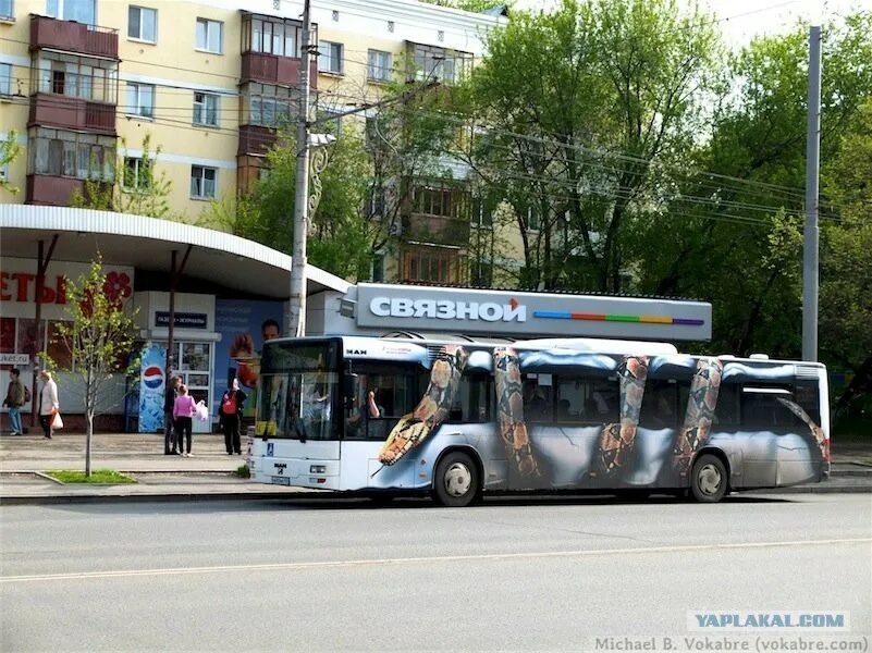 80 автобус пермь остановки. Автобус змея. Аэрография на автобусе. Автобус со змеёй реклама. 17 Автобус Пермь.