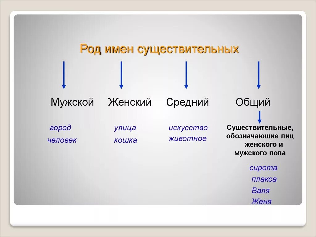 Зверь это существительное. Род мужской женский средний общий. Существительные обозначающие лиц мужского и женского пола. Существительных, обозначающих лиц женского пола. Сущ обозначающие название лиц.