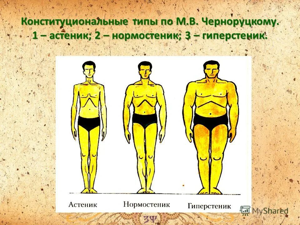 Определение типа телосложения