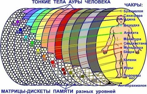 Дольше тел 3