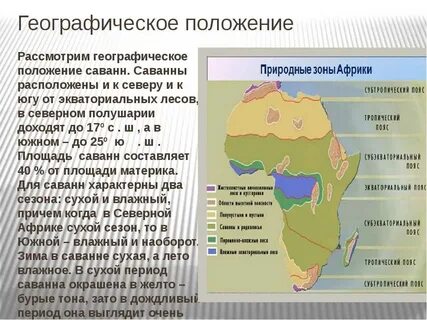 Характеристика зон саванн и редколесий африки