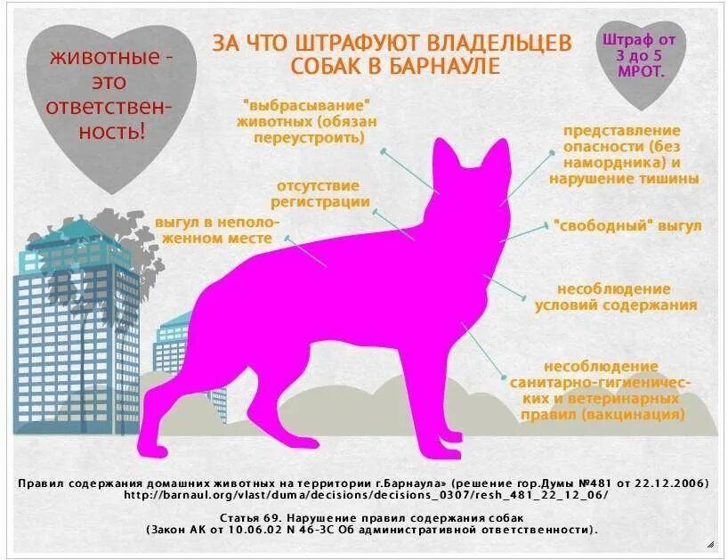 Правила содержание собак и кошек. Правила содержание собак и кошек