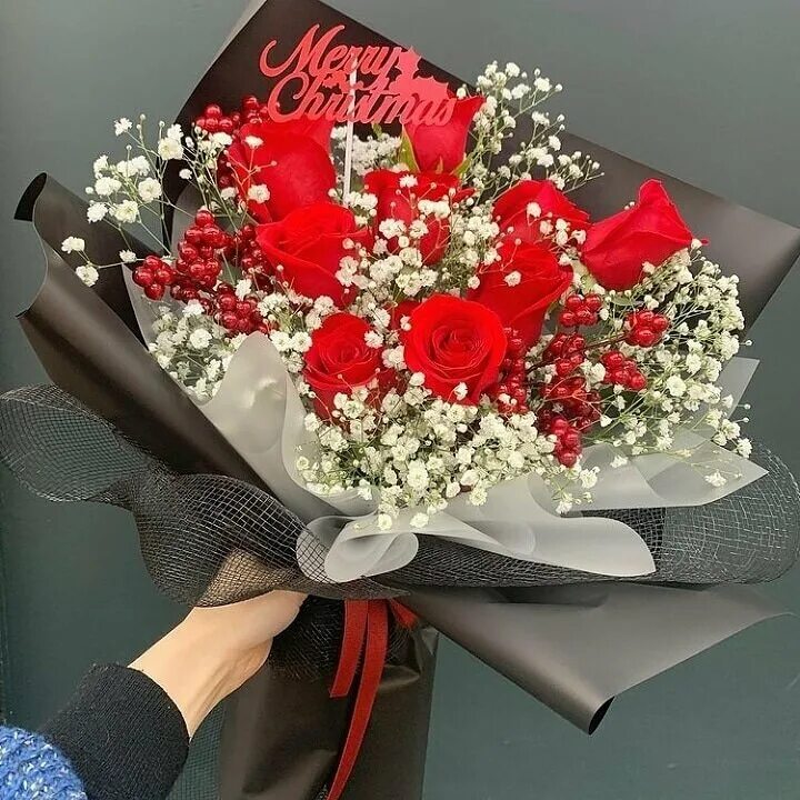 лопатина цветы. ирис бородатый блашинг пинк. цветочный магазин южный город. ирис германский индиан чиф. солнечный бульвар 2 лопатино.