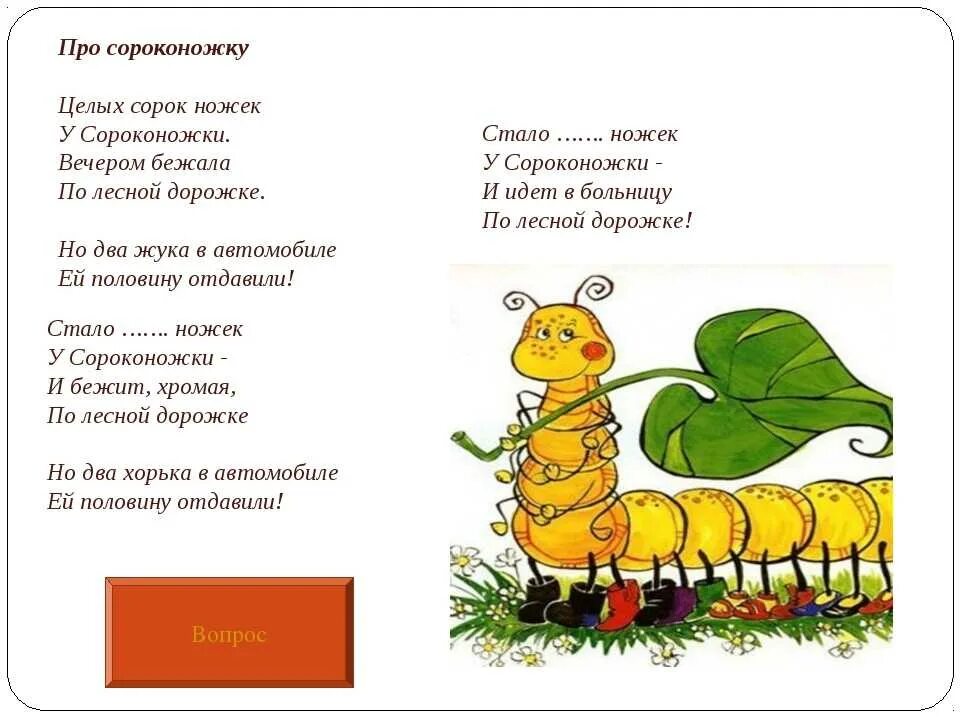 Как то раз сороконожку. Стих про сороконожку. детский стих про сороконожку. смешной стих про сороконожку. загадка про сороконожку.