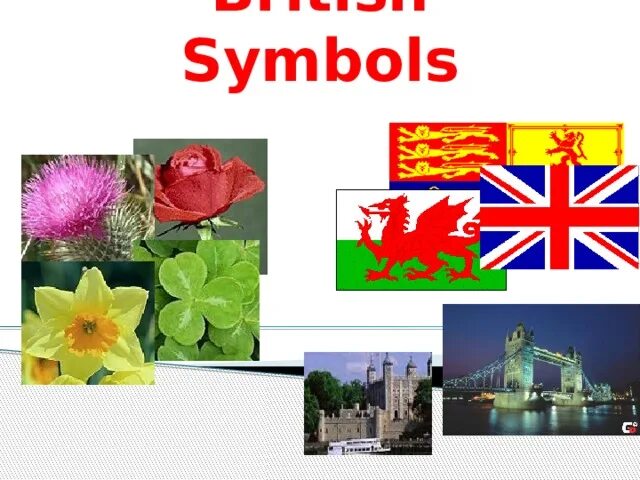 Символ великобритании 5 букв. Национальные символы Великобритании. Неофициальные символы Великобритании. Национальный символ Англии. Символы Великобритании презентация.