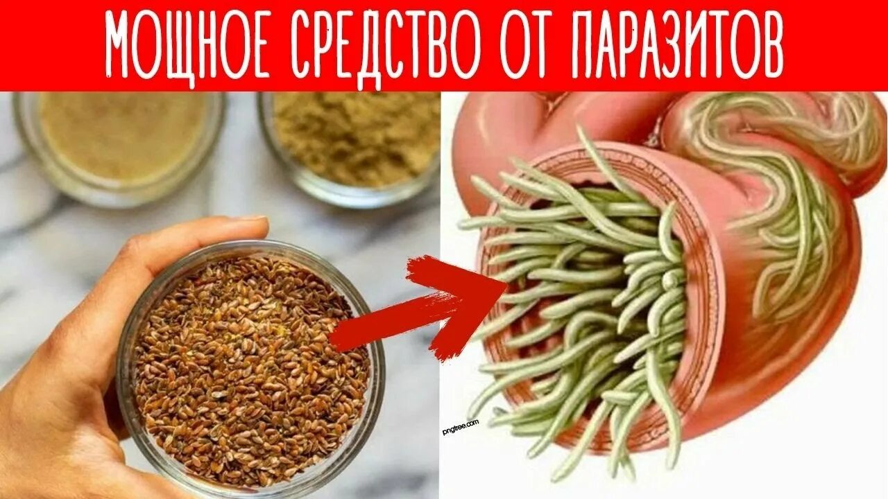 Как избавиться от паразитов народными средствами. Очищаемся от паразитов!. как избавиться от паразитов. как избавиться от паразитов в организме. пища для избавления от паразитов.