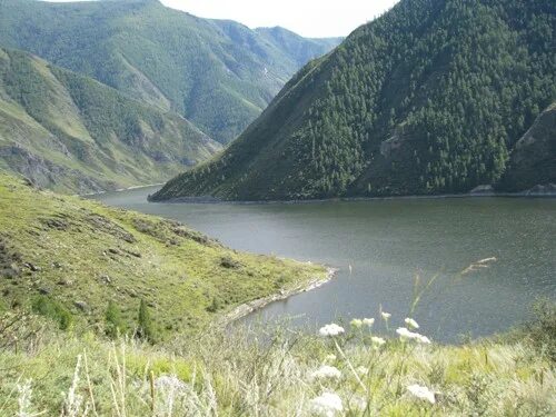 Саяно-Шушенское водохранилище. Таловка Саяно Шушенское водохранилище база отдыха. Саяно-Шушенское водохранилище фото.