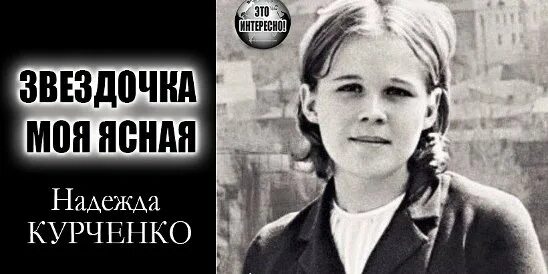 Кому посвящена песня звездочка моя. Создание песни звездочка моя ясная. Звёздочка моя ясная слова текст. Создание песни звездочка моя ясная. Цветы звездочка моя ясная.