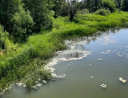 Природопользование ярославская область