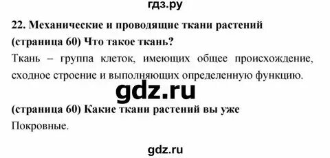 Тест по истории 5 класс 3 параграф