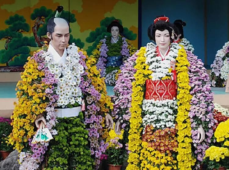 Праздник хризантем «Кику-но сэкку». Фестиваль хризантем в Японии. Хризантема императора Японии. Хризантема символ Японии.