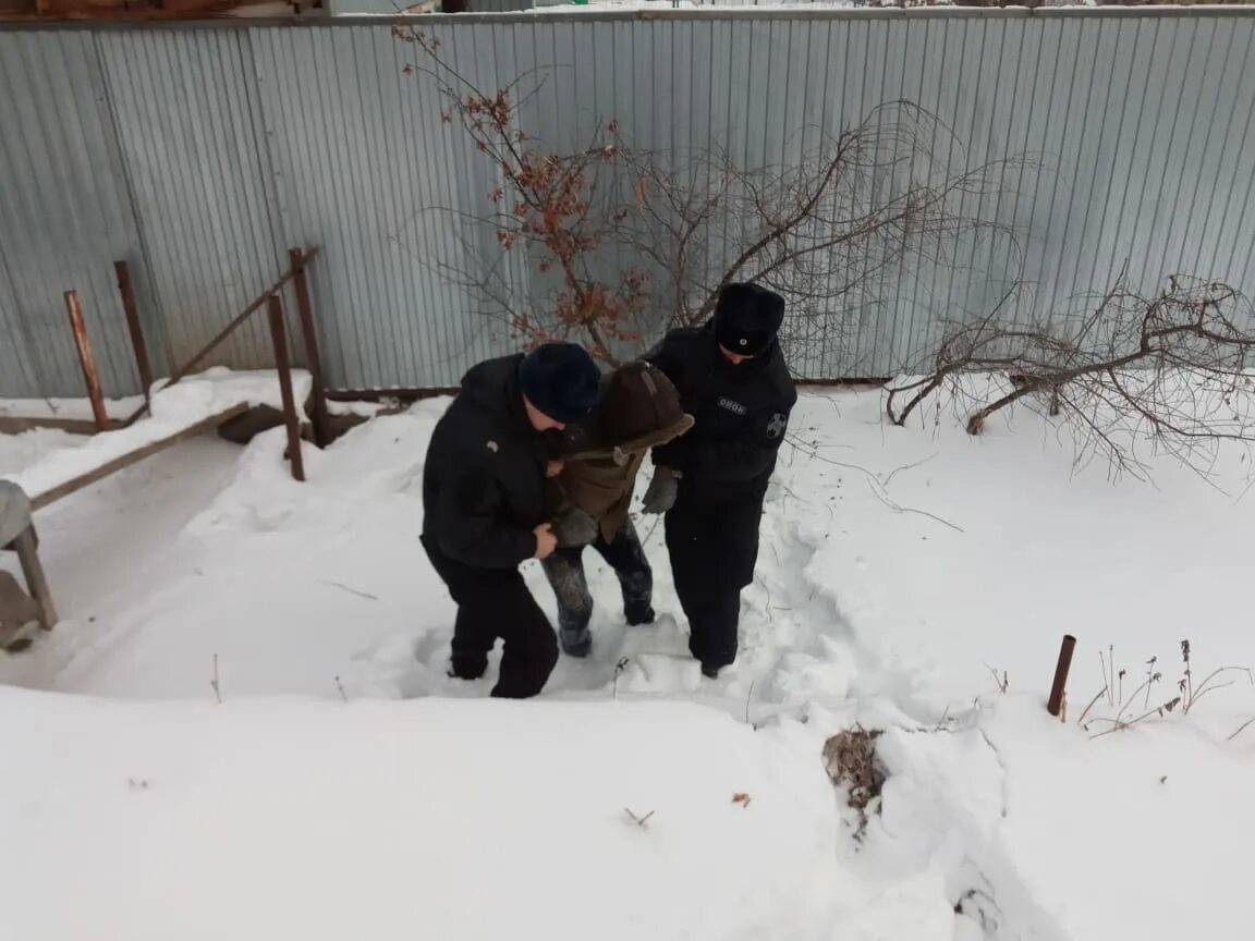 По сугробу волчиха взобралась