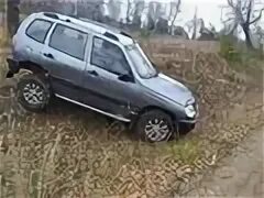 Шевроле нива ниагара. Бу нива шевроле курск. Бу нива шевроле курск. Бу нива шевроле курск. Шевроле нива город пенза новый.