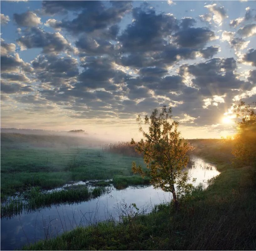 Верни на заре. Сухая Чигла река. Рассвет в Воронежской области. Река на заре. Майская Заря.