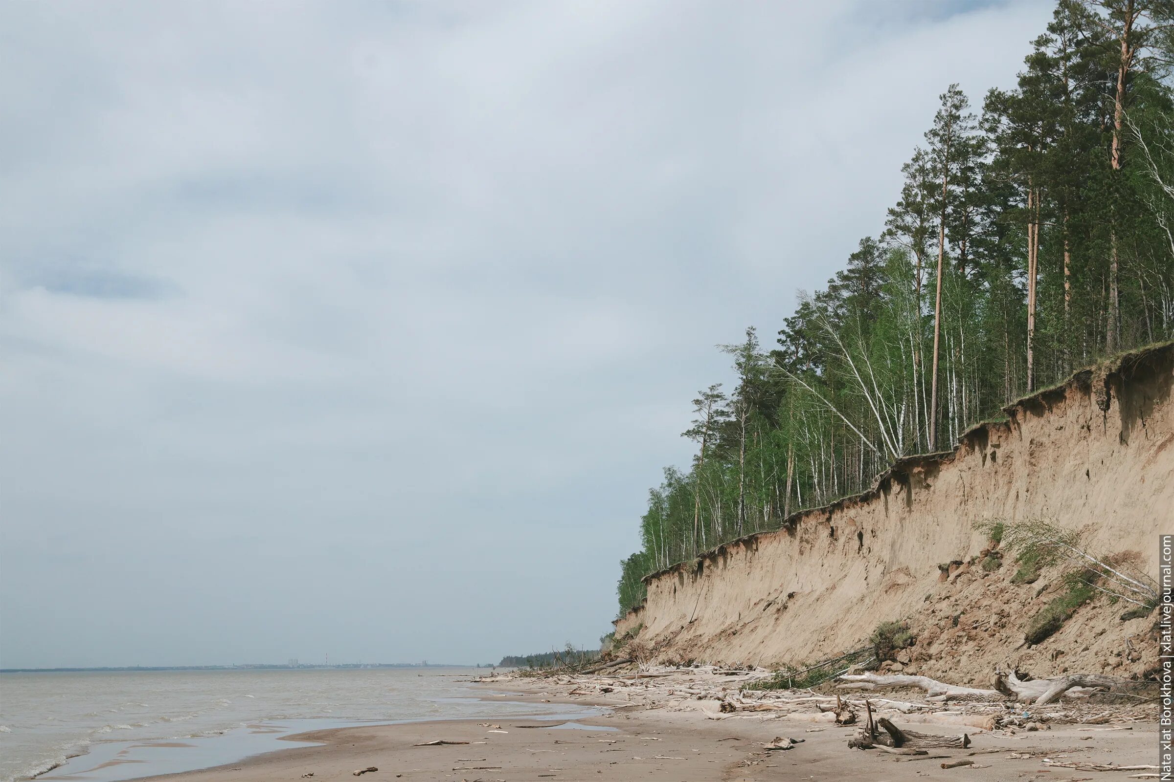 Береговое новосибирская область. Новосибирск Обское море Бор. Станция Береговая Новосибирск пляж. Обское море станция Береговая. Боровое Новосибирская область Обское море.