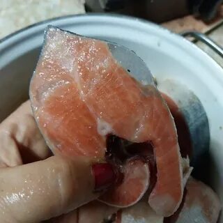 Дело в рыбе