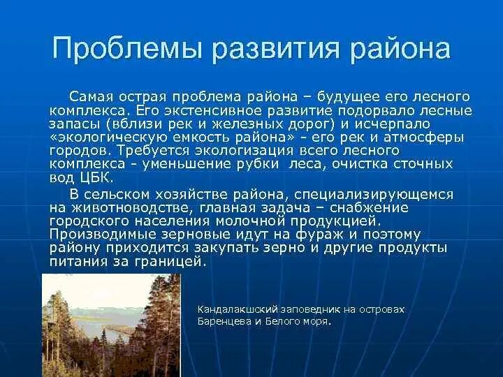 Какие экологические проблемы стоят перед европейским севером. Проблемы развития Северного экономического района. Проблемы и перспективы развития Северо. Европейский Север проблемы и перспективы развития района. Перспективы развития Северного экономического района.
