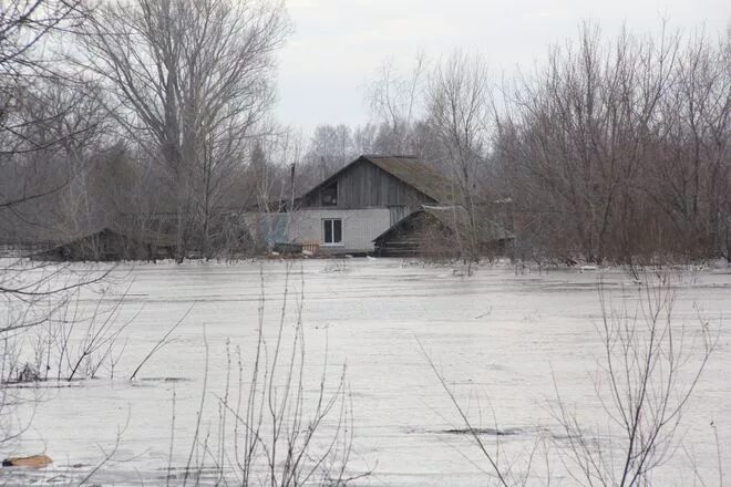 П кировский алтайский. Поселок Кировский Алтайский край. Посёлок Кировский Алтайский край Смоленский район. Поселок Кировский Алтайский край фото. Погода Кировский Алтайский край.