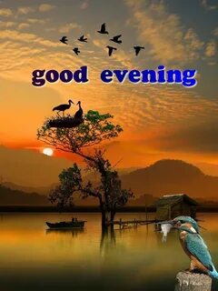 Evening here
