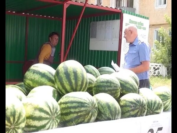 Как продать арбузы. Точка с арбузами. Арбузные точки красивые. Торговая точка арбузы. Арбузы в тачке Нарынке.