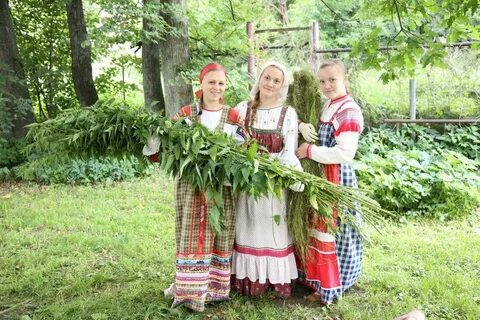 День крапивы